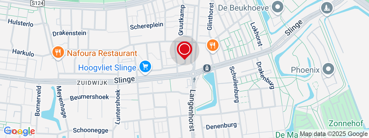Google Static Map