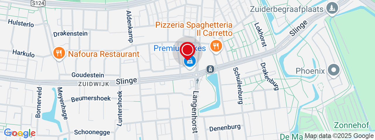 Google Static Map