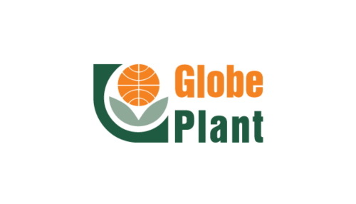 Globe Plants